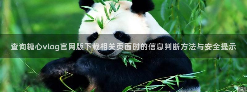 糖心vlog在线下载：查询糖心vlog官网版下载相关页面时的信息判断方法与安全提示