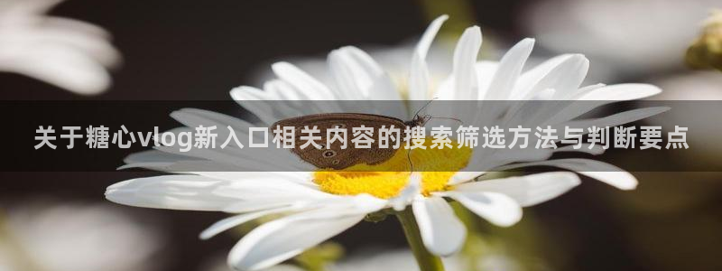 91糖心vlog
