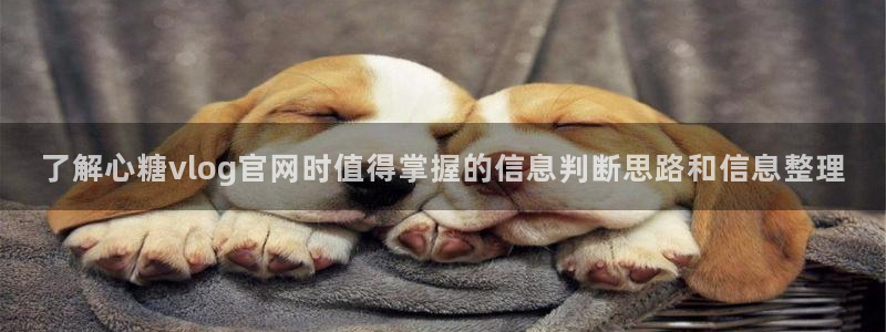 糖心love