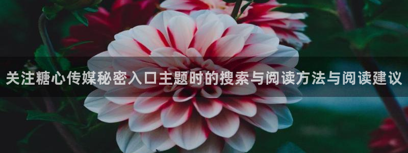糖心logo柚子猫
