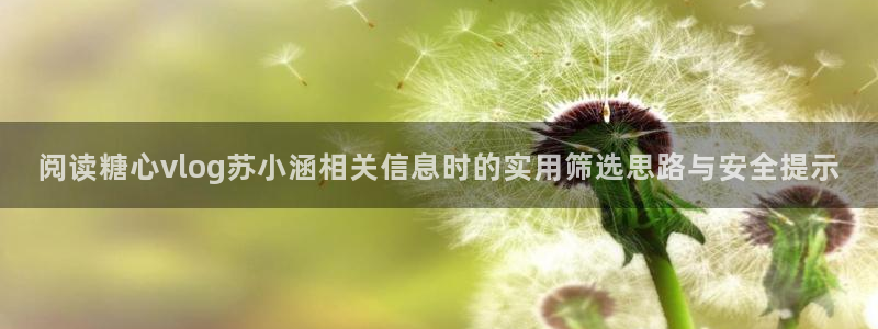 糖心vlog在线播放