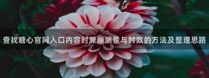糖心