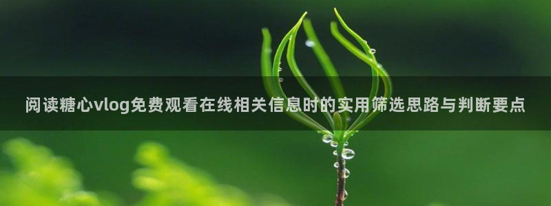 糖心在线观看