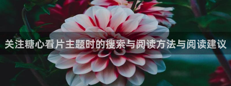 糖心在线观看：关注糖心看片主题时的搜索与阅读方法与阅读建议