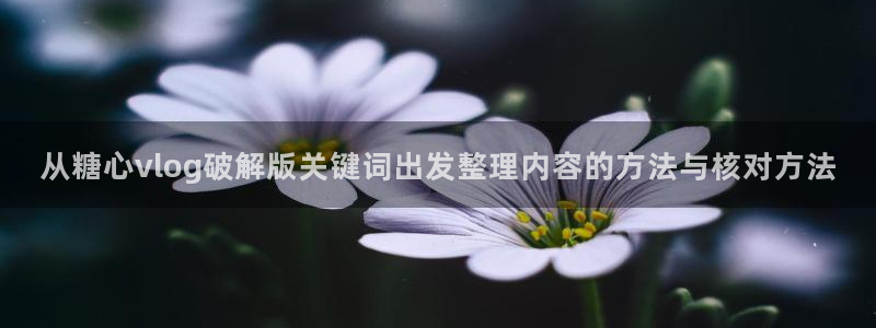 糖心少女logo