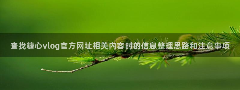 在线观看糖心:查找糖心vlog官方网址相关内容时的信息整理思路和注意事项